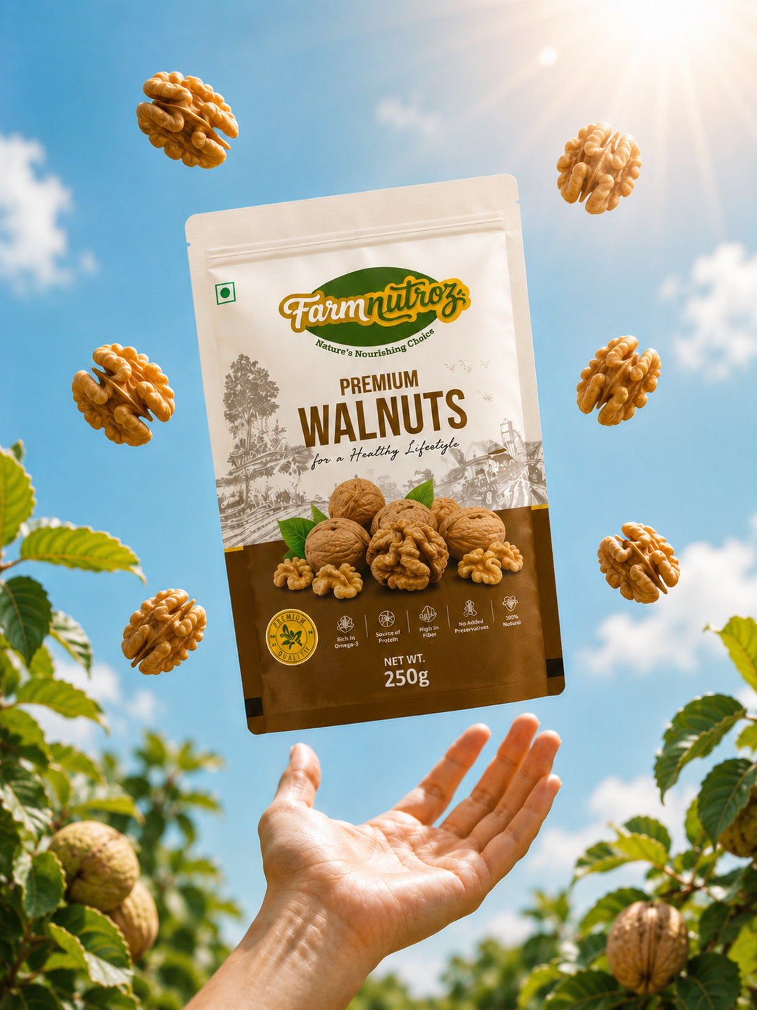 Walnut