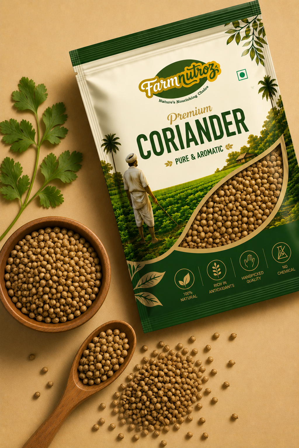 Coriander